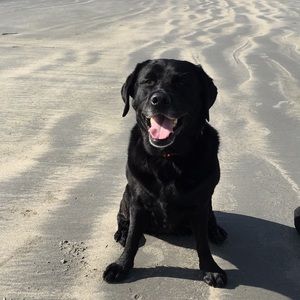 Meet your Posher, Jo